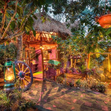 Evergreen County Retreat-India'S First Adventure Veg Retreat Virajpet Exterior photo