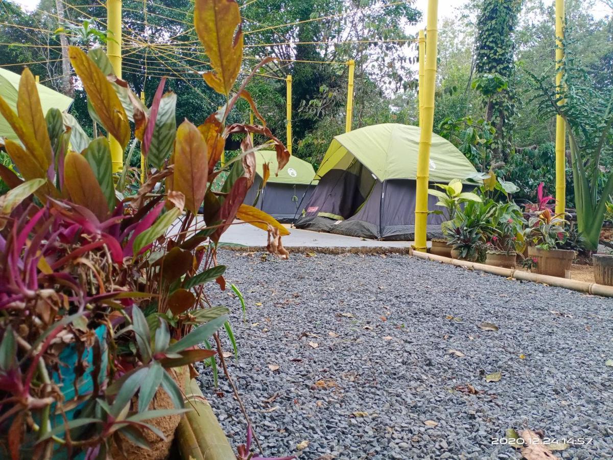 Evergreen County Retreat-India'S First Adventure Veg Retreat Virajpet Exterior photo