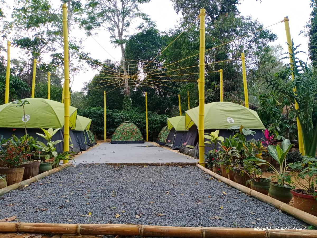 Evergreen County Retreat-India'S First Adventure Veg Retreat Virajpet Exterior photo
